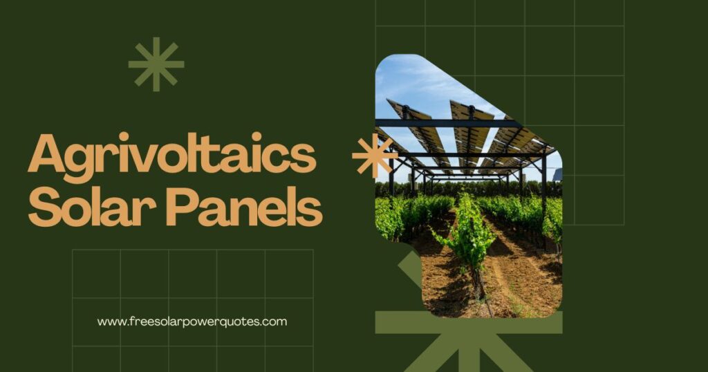 agrivoltaics solar panels